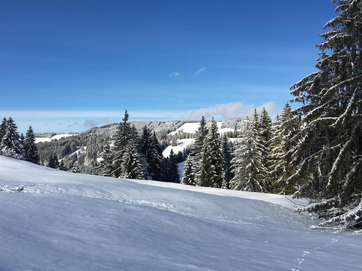 Weitnaustyle - Renoviert, Modern, Allergikerfreundlich Bagian luar foto