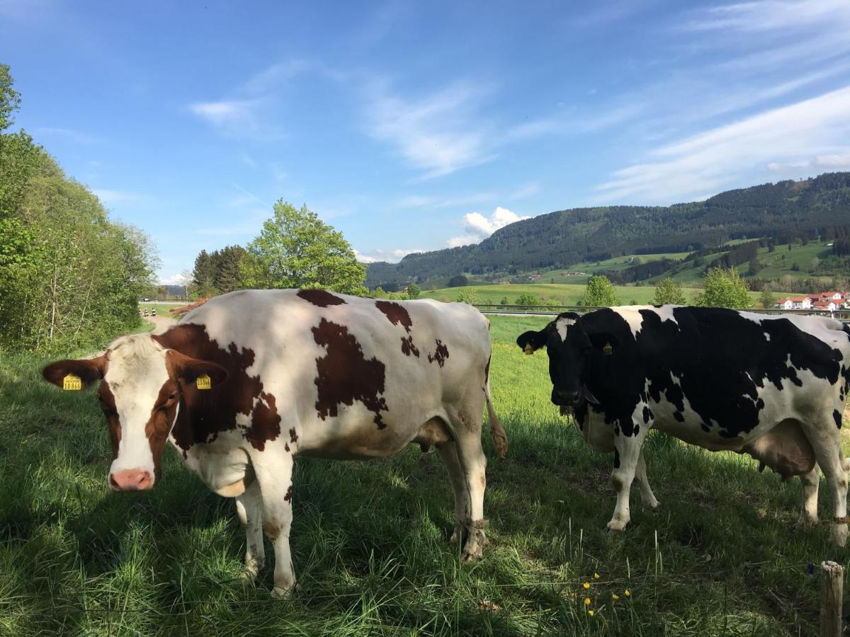Weitnaustyle - Renoviert, Modern, Allergikerfreundlich Bagian luar foto