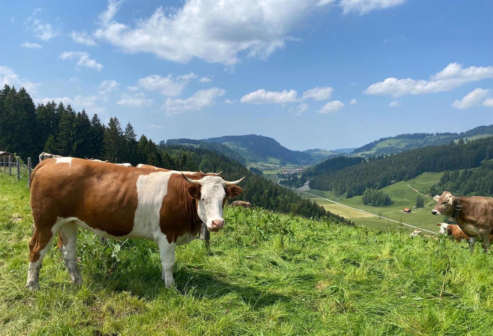 Weitnaustyle - Renoviert, Modern, Allergikerfreundlich Bagian luar foto